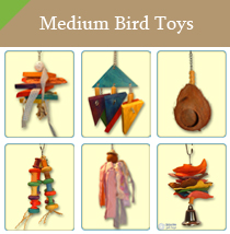 Medium Bird Toys