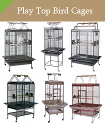 Play Top Bird Cages