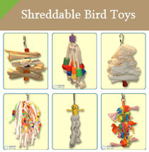 Shreddable Parrot Toys