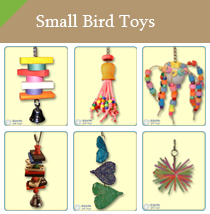 Small Bird Toys